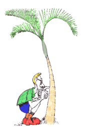 Cartoon Warner checking Queen Palm